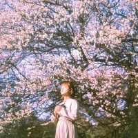ぽ ん こ つ 📸 ❤️‍🔥 (@poncha1230) Twitter profile photo