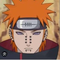 conservador contra ladrao (@raelscheffer) 's Twitter Profile