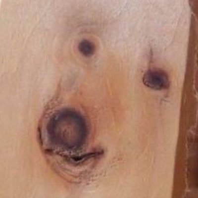 Kanchan_2102's profile picture. 