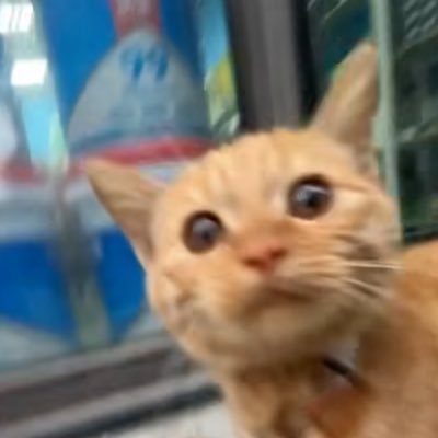 merinze Profile Picture