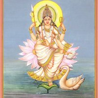 गायत्री_धारा (@gayatri_dhara) 's Twitter Profile