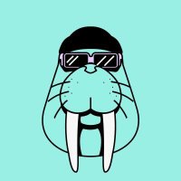 (Ø,G) Reddio ⛺ #camper4life KGeN (@hamsterminiapp) 's Twitter Profile