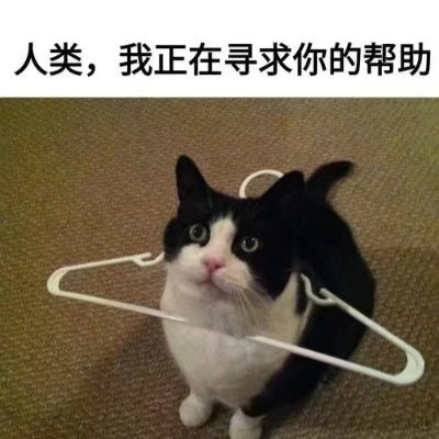 pain7cake's profile picture. 