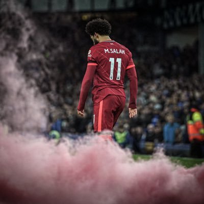 ipularyz's profile picture. 