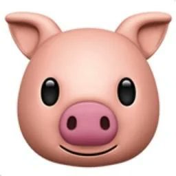 28M. Bi. Goonpig & Paypig. 4 months without cumming. 8440€ spent on findom 💸 in 2025 (so far)