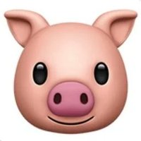 Spanish Goonpig (@spanish_goonpig) 's Twitter Profile