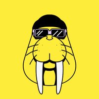 Brunos(@.@) (@alibabasakurala) 's Twitter Profile