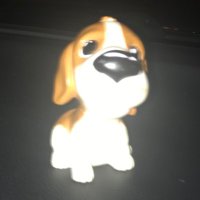 jimbus (@jimbus4) 's Twitter Profile Photo jimbus (@jimbus4) 's Twitter Profile Photo