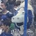 Colts Wave (@coltswave) Twitter profile photo Colts Wave (@coltswave) Twitter profile photo