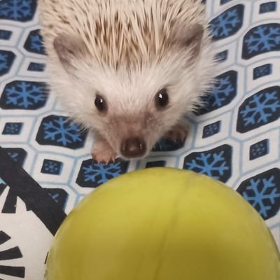 Pleyadiana45825's profile picture. 