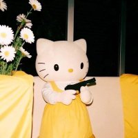 0xMona.zsh (@0xmonazsh) 's Twitter Profile