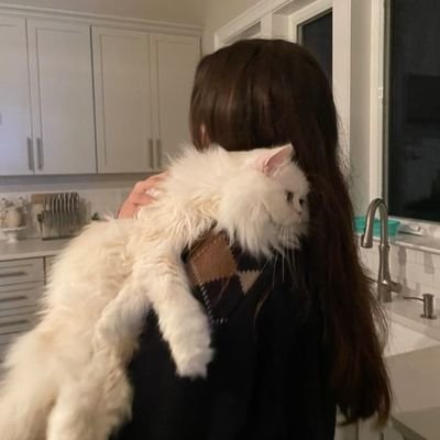 keisylva's profile picture. 