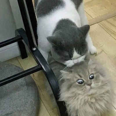 Fさんのプロフィール画像
