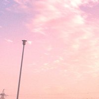 ねむ (@goki_semi) Twitter profile photo