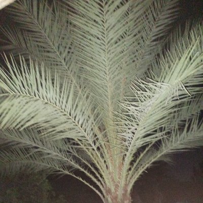 eniack08's profile picture. 