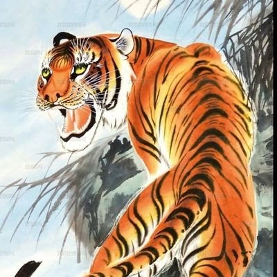 haoke113's profile picture. 领悟生死境界，生活逼迫我境界超脱。