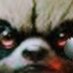 DastardlyDeeds KungFooFuckery (@kungfoofxckr523) Twitter profile photo DastardlyDeeds KungFooFuckery (@kungfoofxckr523) Twitter profile photo