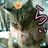 らぃ (@rairairai66) 's Twitter Profile Photo