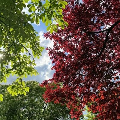 MrAnkit29's profile picture. 