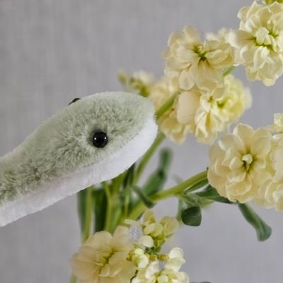 JHINさんのプロフィール画像