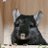 Jing_GJ6