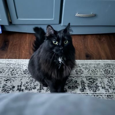 Bryn_alyn99's profile picture. 