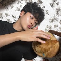 PINKORt_ (@rt_pinko) 's Twitter Profile