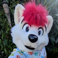 Little Kova (@cubkova) 's Twitter Profile Photo Little Kova (@cubkova) 's Twitter Profile Photo