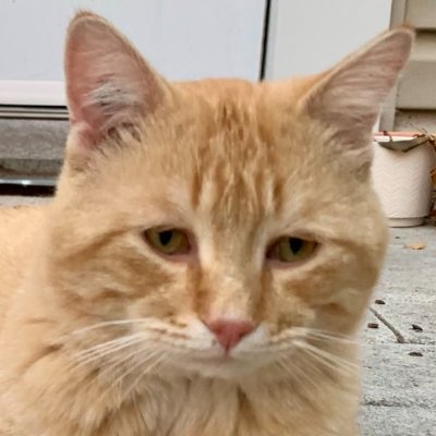 FutureDrMoore's profile picture. 