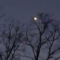 ImAngie247 (@imangie247) 's Twitter Profile