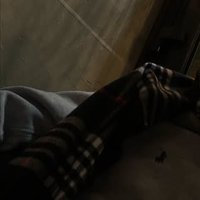 Xenex (@xenexdc) 's Twitter Profile