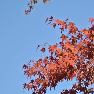 TaKeNoKo4422's profile picture. #春から学習院 法 法 06 🧔‍♂️