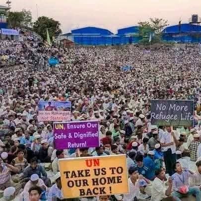 Genocide Survivor &HR Defender & RSN- Representative (Rohingya Student Network) Rohingya Language Specialist in Mukti Cox's Bazar.