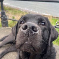 JLizzy (@tradez_j) 's Twitter Profile