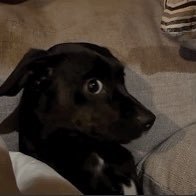 solgabro's profile picture. 200k+ on socials // you’re only as good as your last performance