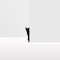 İzmir'deki sapık Mümin Şahin (@en_pervers_i_dk) 's Twitter Profile