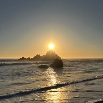 MaskedBasket's profile picture. I am me