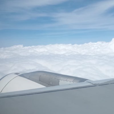 dhoyerm's profile picture. working