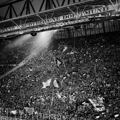 MJIACCHKASLON's profile picture. 