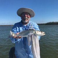 Michael Dolan (@michaeldol50967) 's Twitter Profile