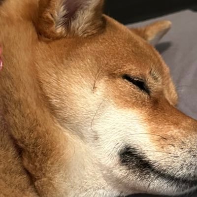 realRpg0's profile picture. 😭