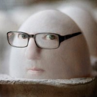 œuf canadien 🇨🇦🇪🇺 (@canadian_eggy) 's Twitter Profile