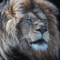 Leo (@leongbhailte) 's Twitter Profile Photo Leo (@leongbhailte) 's Twitter Profile Photo