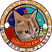 street cat love #divestfromtwitch 🍉 (@street_cat_love) Twitter profile photo street cat love #divestfromtwitch 🍉 (@street_cat_love) Twitter profile photo