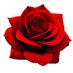Vadi Velan (@velanartz) Twitter profile photo Vadi Velan (@velanartz) Twitter profile photo