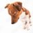 rianzinhodoamor's profile image