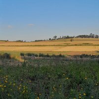 Kihiki understanding 😂😍😌 (@starwangeri) Twitter profile photo