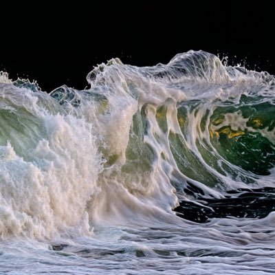 AidanMcFarlane2's profile picture. 