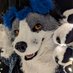 Tizz Tozz (@tizz_doge) Twitter profile photo