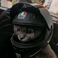 elias (@eliaasunq) 's Twitter Profile Photo